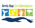Dolphin Wild Cruises Logo